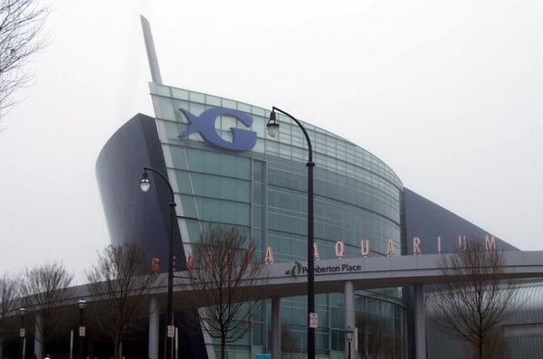 The Georgia Aquarium