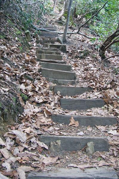 Stairs on a trail