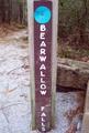 Bearwallow Falls, North Carolina