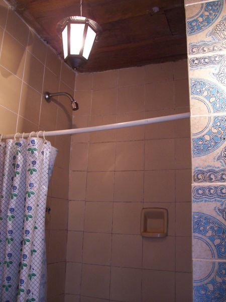 Shower with Portuguese tiles.