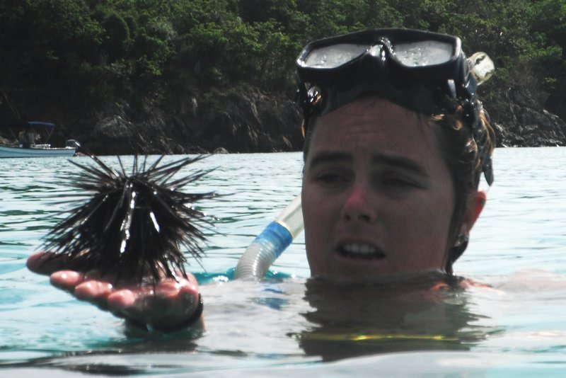 Snorkeling guide with Urchin!