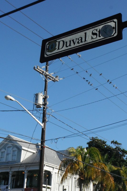 Duval St.