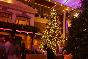 Christmas decorations - Oasis of the Seas