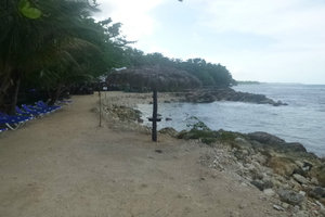 Dolphin Cove - Jamaica