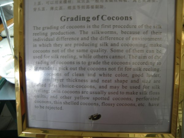 Grading of Cocoons