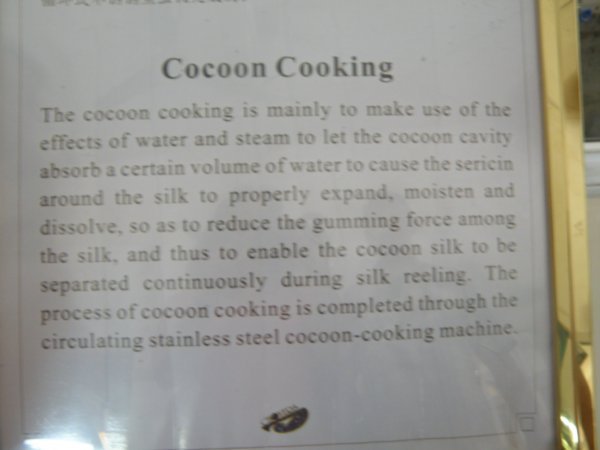 Cocoon Cooking