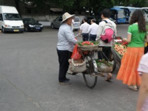 berry vendor