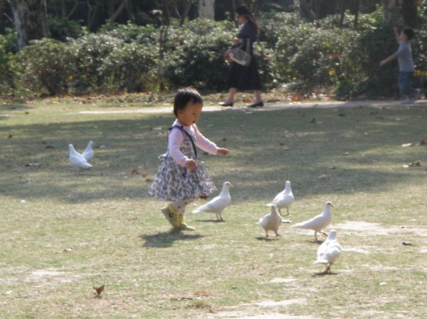 Jacquie chasing pigeons