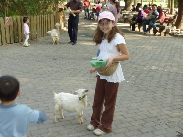 Leah feeding goats