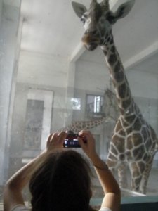 Leah and giraffe