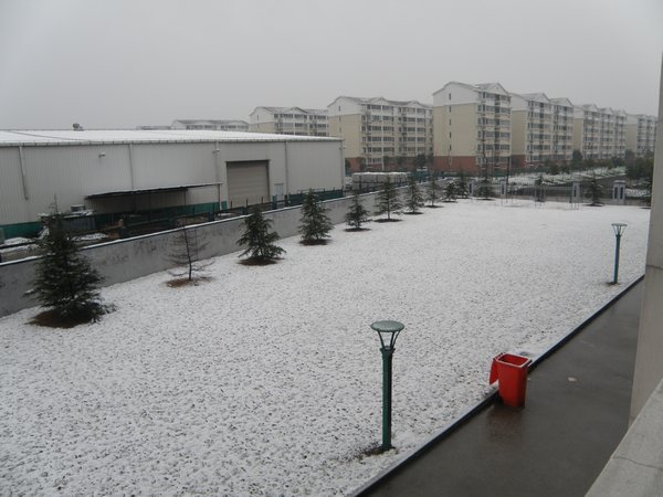 Snow 2-14-10