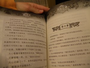 Chinese Warriors book