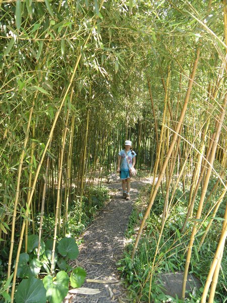 Leah in Bamboo Forest