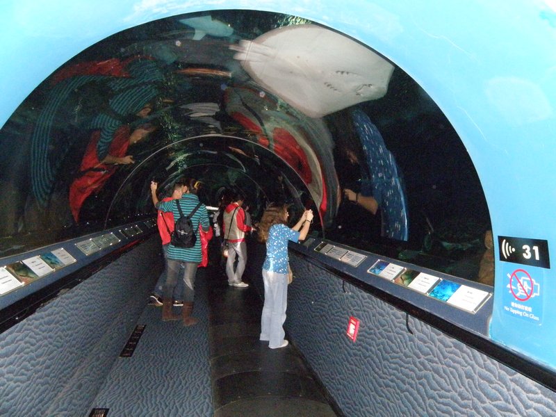 Tunnel with ray overhead