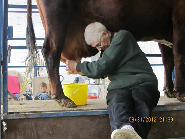 Milking at State Fair