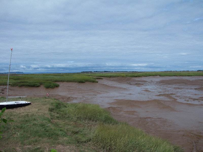 Low Tide | Photo