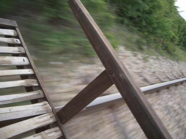 Bamboo train - seems faster this close to the ground