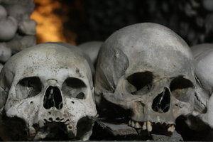 skulls from the black plague