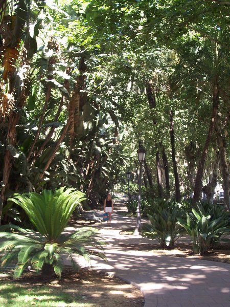 beautiful park in downtown Malaga