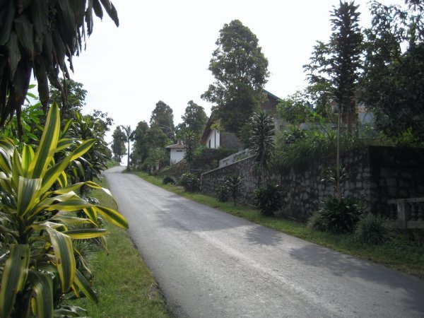 Road in front of the house we were visiting