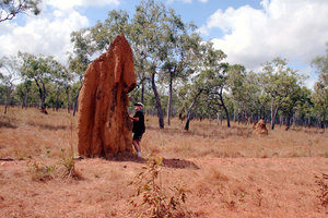 Marcia having a bite of Termite mound