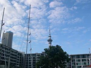 Sky tower in the distance