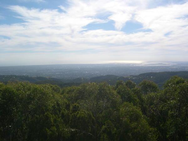Adelaide from Mount Lofty 