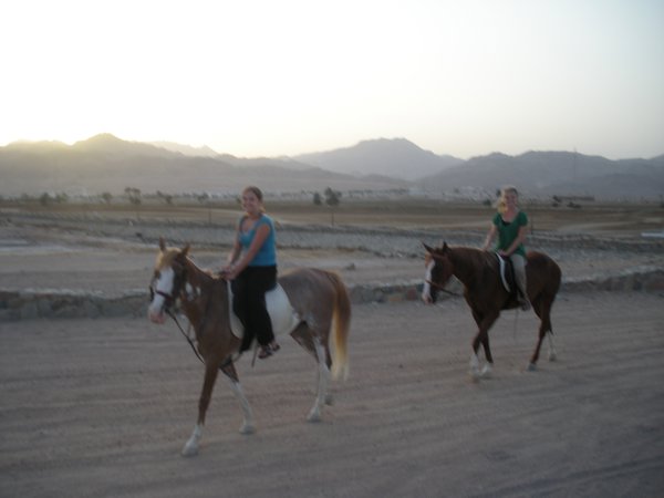 Horseback riding along the Red Sea in Egypt