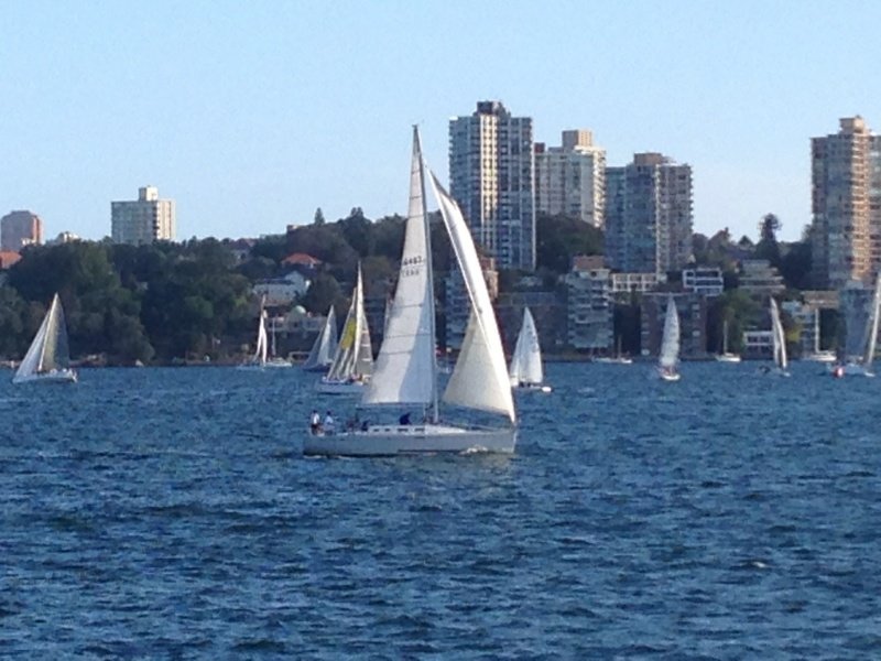 Sailing in Sydney Harbor