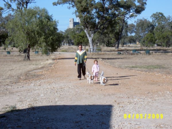 Maddy & Pop taking the dogs for a walk