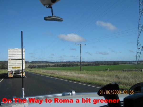 From Chinchilla to Roma