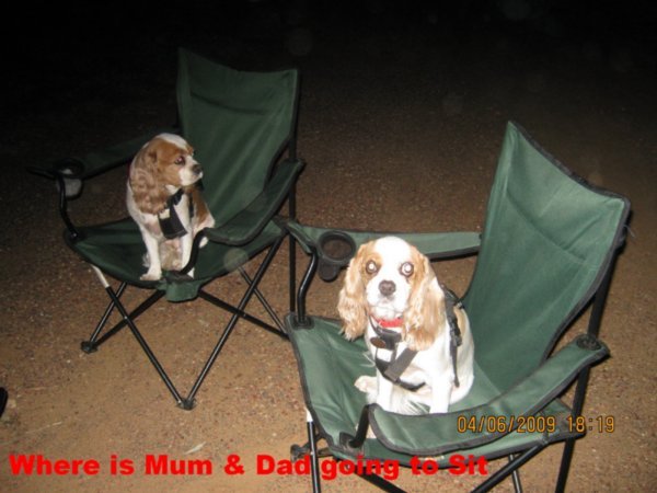 Wheres Mum & Dad Sitting