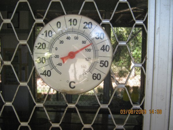 40   3-8-09    The temperature on Goat Island 38 deg on the Adelaide River on the Croc Tour