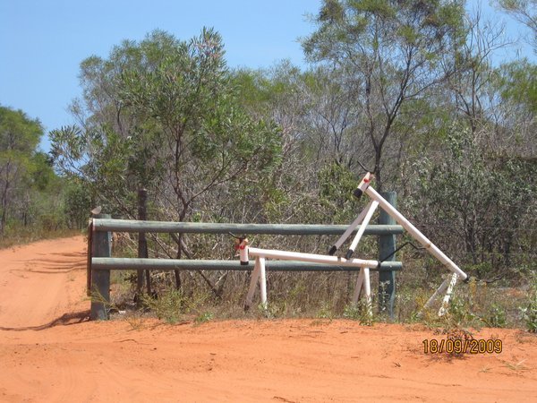 14  18-9-09    Don't you love the cows made out of pipe on a proprty entrance Coconut Wells Broome