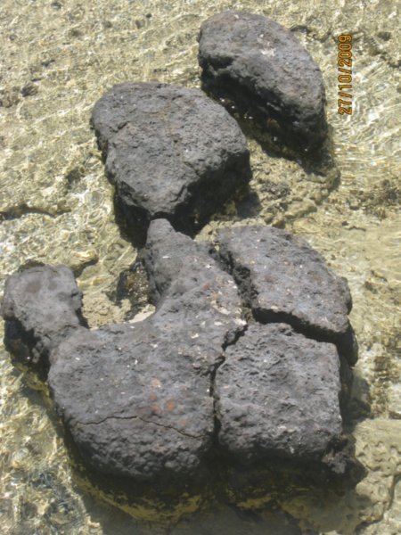 25  27-10-09    The Stromatolites at Hamelin Pool