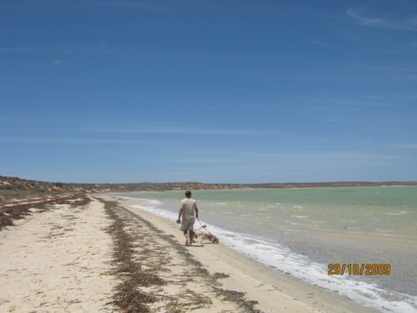 31  29-10-09  The beach at  Denham