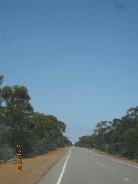 56      31-10-09     The road to Kalbarri, notice more trees