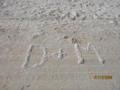 55     31-10-09    Our Initials on Shell Beach at Denham