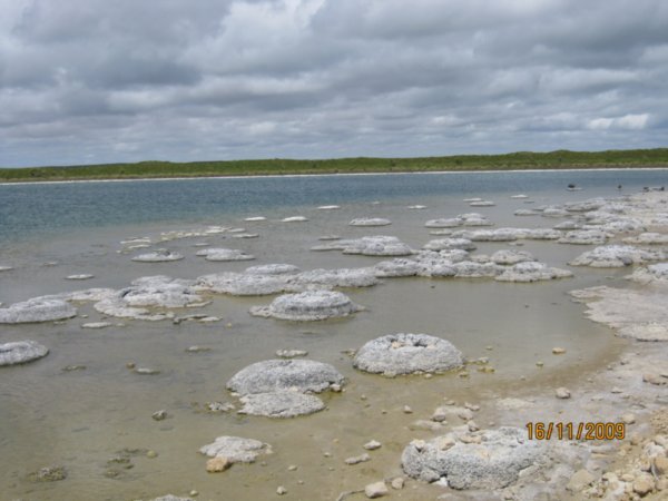 118   16-11-09   The Stromatolites at Lake Thetis at Cervantes