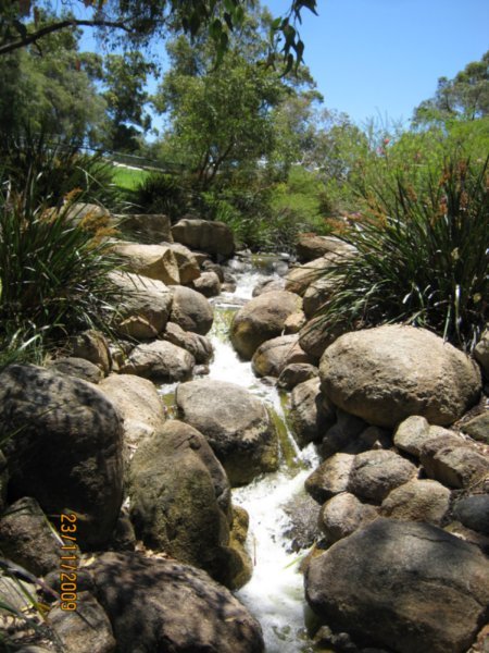 58    23-11-09     The Waterfall Botanical Gardens Perth