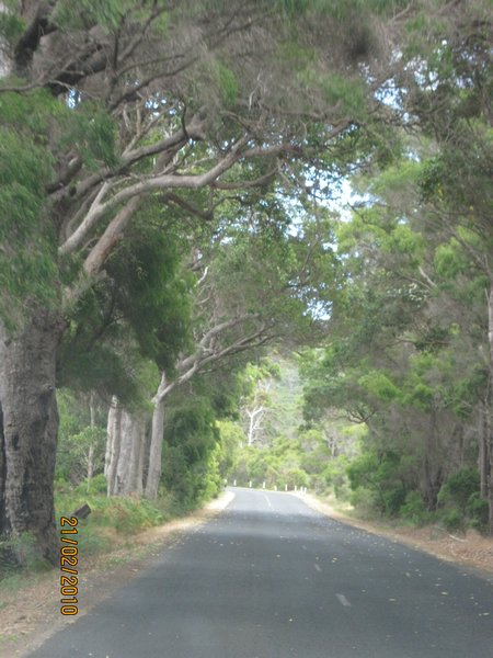 20   21-2-10  On the road to Cape Leeuwin Margaret River