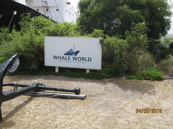 33    4-3-10    Whale World