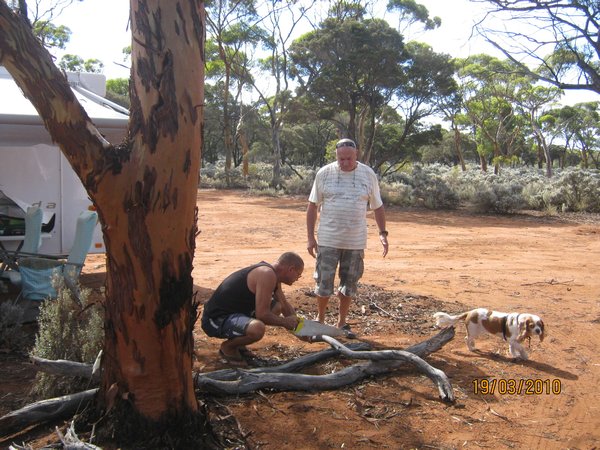 3  19-3-10 Tony & Den cutting up the wood for the fire at 10 Mile