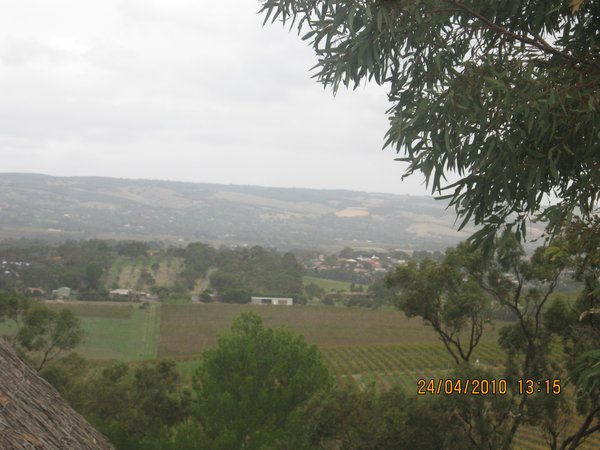 63  24-4-2010  d'Arenberg Winery Mclaren Valley SA