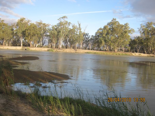 17  28-4-10    The Murray River at Plush Bend Renmark SA