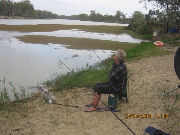 29  29-4-10     Cheryl fishing at Plush Bend Renmark SA