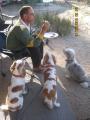 43  1-5-10   The 3 dogs wanting Den's breaky Renmark SA