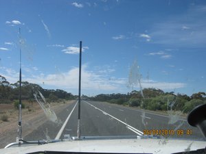 2  26-4-10  The locusts on the windscreen SA