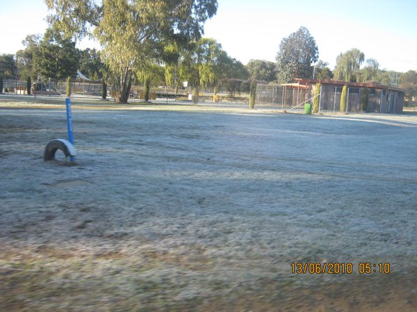 61  13-6-10  Frost Near Tamworth free spot NSW
