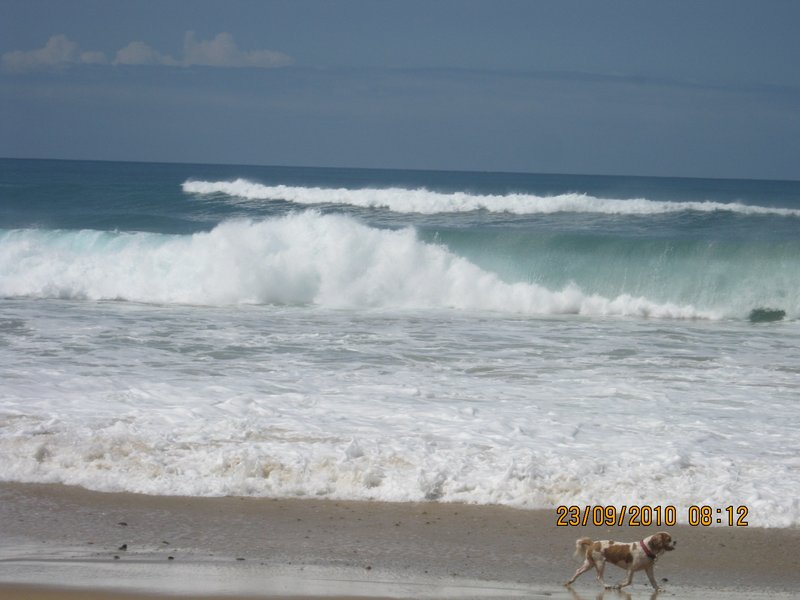20  23-9-10  Big seas at Corindi Beach